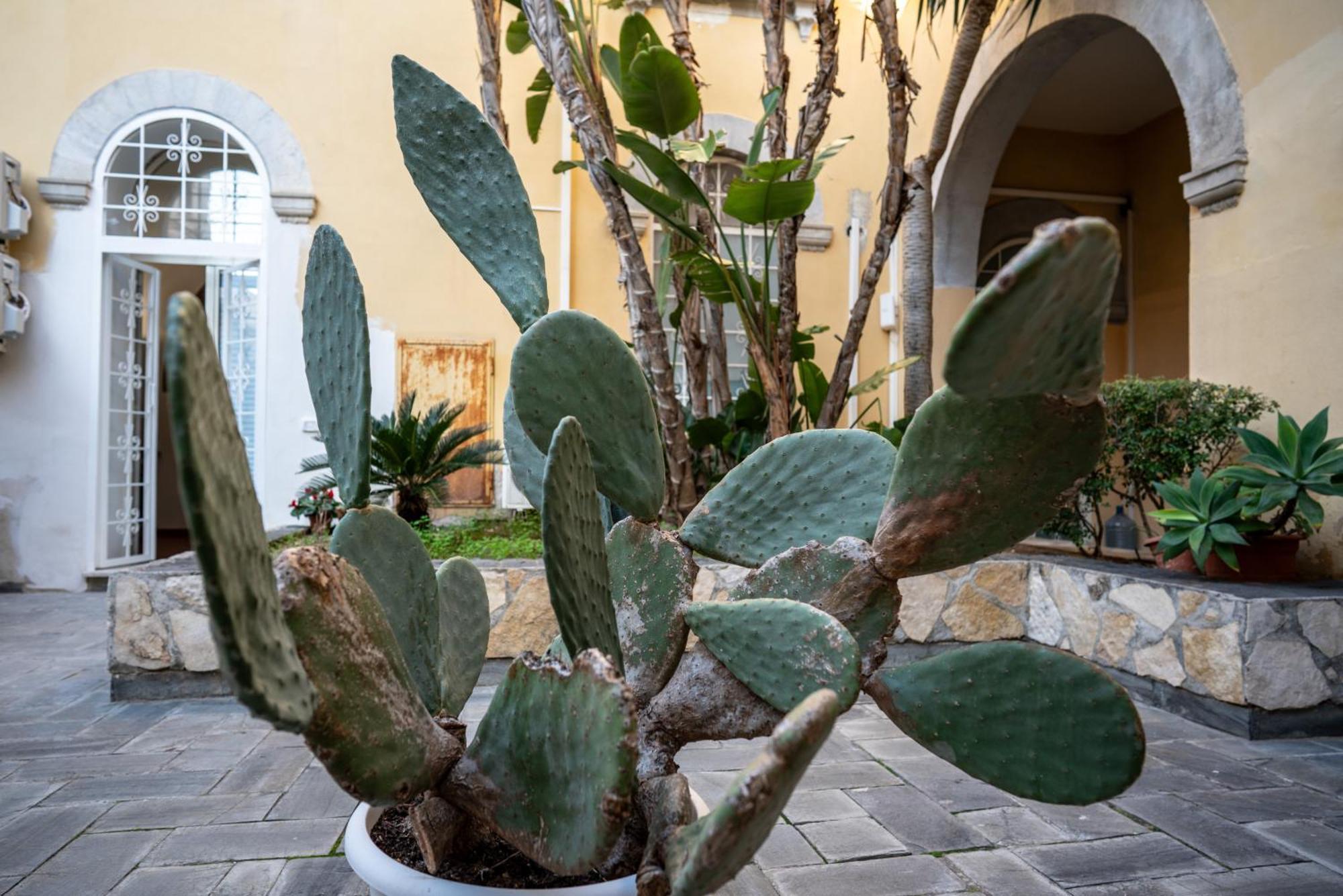 Willa Casa Orchidea D'Oro Syrakuzy Zewnętrze zdjęcie